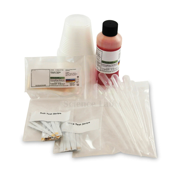 Kidneys And Blood Filtration kit